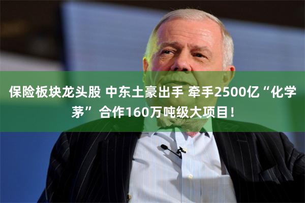 保险板块龙头股 中东土豪出手 牵手2500亿“化学茅” 合作160万吨级大项目！