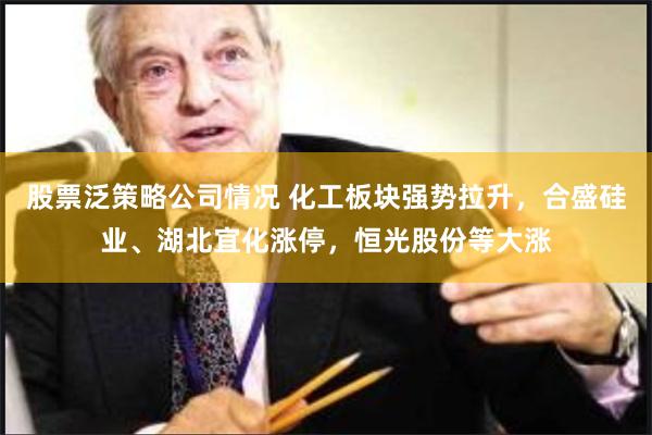 股票泛策略公司情况 化工板块强势拉升，合盛硅业、湖北宜化涨停，恒光股份等大涨