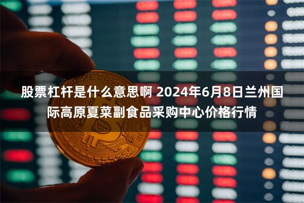 股票杠杆是什么意思啊 2024年6月8日兰州国际高原夏菜副食品采购中心价格行情