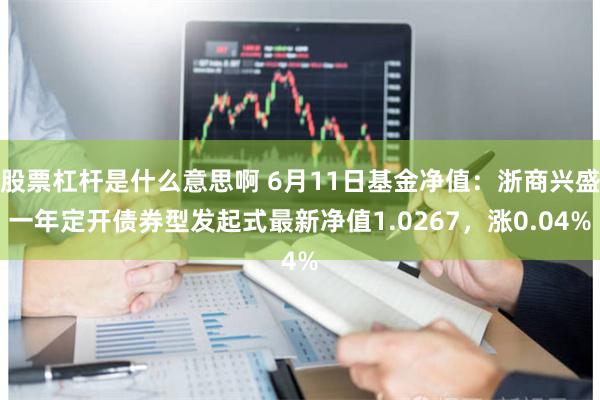 股票杠杆是什么意思啊 6月11日基金净值：浙商兴盛一年定开债券型发起式最新净值1.0267，涨0.04%