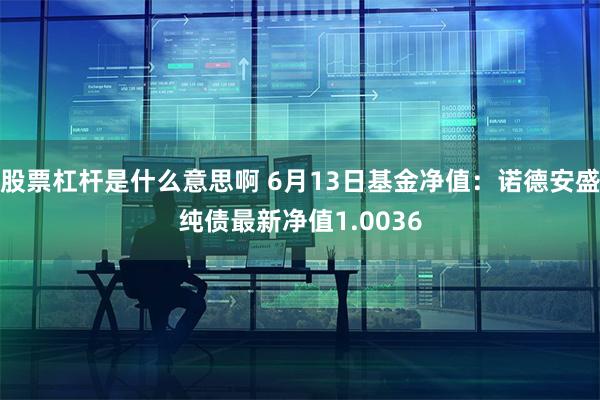 股票杠杆是什么意思啊 6月13日基金净值：诺德安盛纯债最新净值1.0036