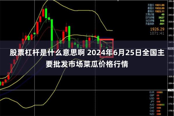 股票杠杆是什么意思啊 2024年6月25日全国主要批发市场菜瓜价格行情