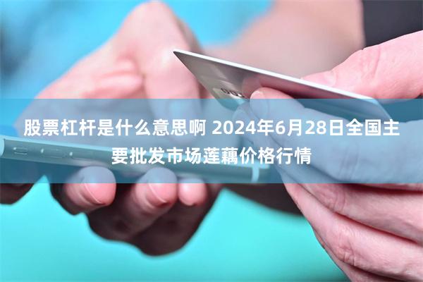 股票杠杆是什么意思啊 2024年6月28日全国主要批发市场莲藕价格行情