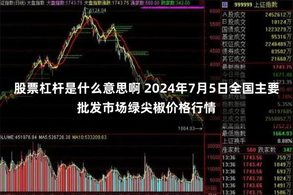 股票杠杆是什么意思啊 2024年7月5日全国主要批发市场绿尖椒价格行情