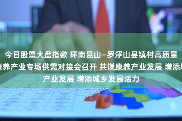 今日股票大盘指数 环南昆山—罗浮山县镇村高质量发展示范区康养产业专场供需对接会召开 共谋康养产业发展 增添城乡发展活力