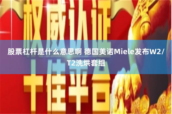 股票杠杆是什么意思啊 德国美诺Miele发布W2/T2洗烘套组