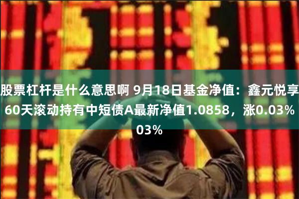 股票杠杆是什么意思啊 9月18日基金净值：鑫元悦享60天滚动持有中短债A最新净值1.0858，涨0.03%