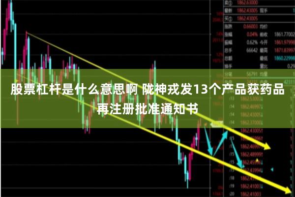 股票杠杆是什么意思啊 陇神戎发13个产品获药品再注册批准通知书