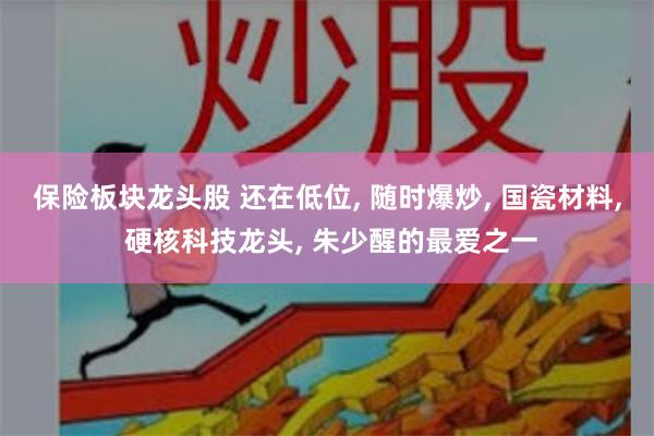 保险板块龙头股 还在低位, 随时爆炒, 国瓷材料, 硬核科技龙头, 朱少醒的最爱之一