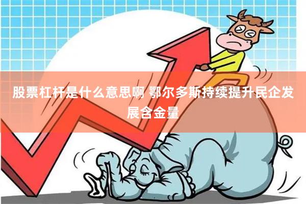 股票杠杆是什么意思啊 鄂尔多斯持续提升民企发展含金量