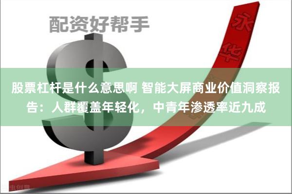 股票杠杆是什么意思啊 智能大屏商业价值洞察报告：人群覆盖年轻化，中青年渗透率近九成