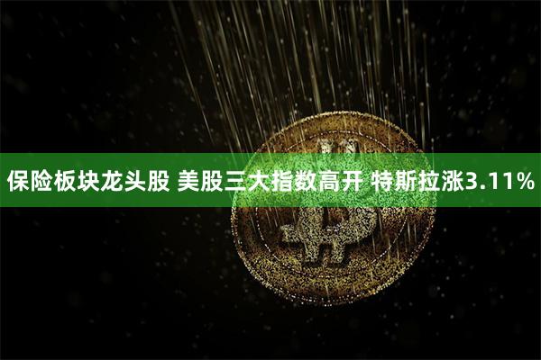 保险板块龙头股 美股三大指数高开 特斯拉涨3.11%