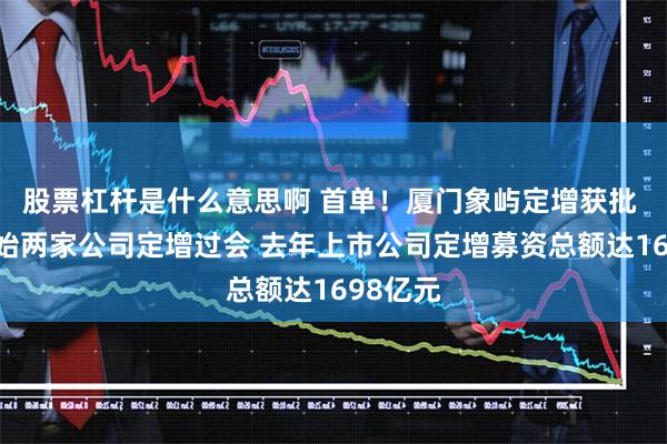 股票杠杆是什么意思啊 首单！厦门象屿定增获批 新年伊始两家公司定增过会 去年上市公司定增募资总额达1698亿元